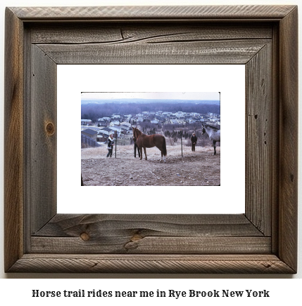 horse trail rides near me in Rye Brook, New York